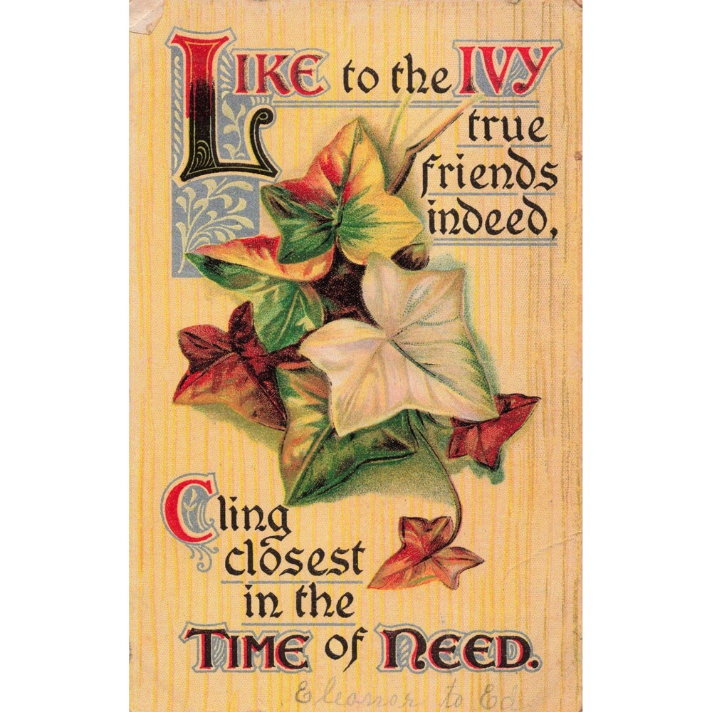 Antique Embossed Ivy Friendship Postcard True Friends Poem Divided Back VG